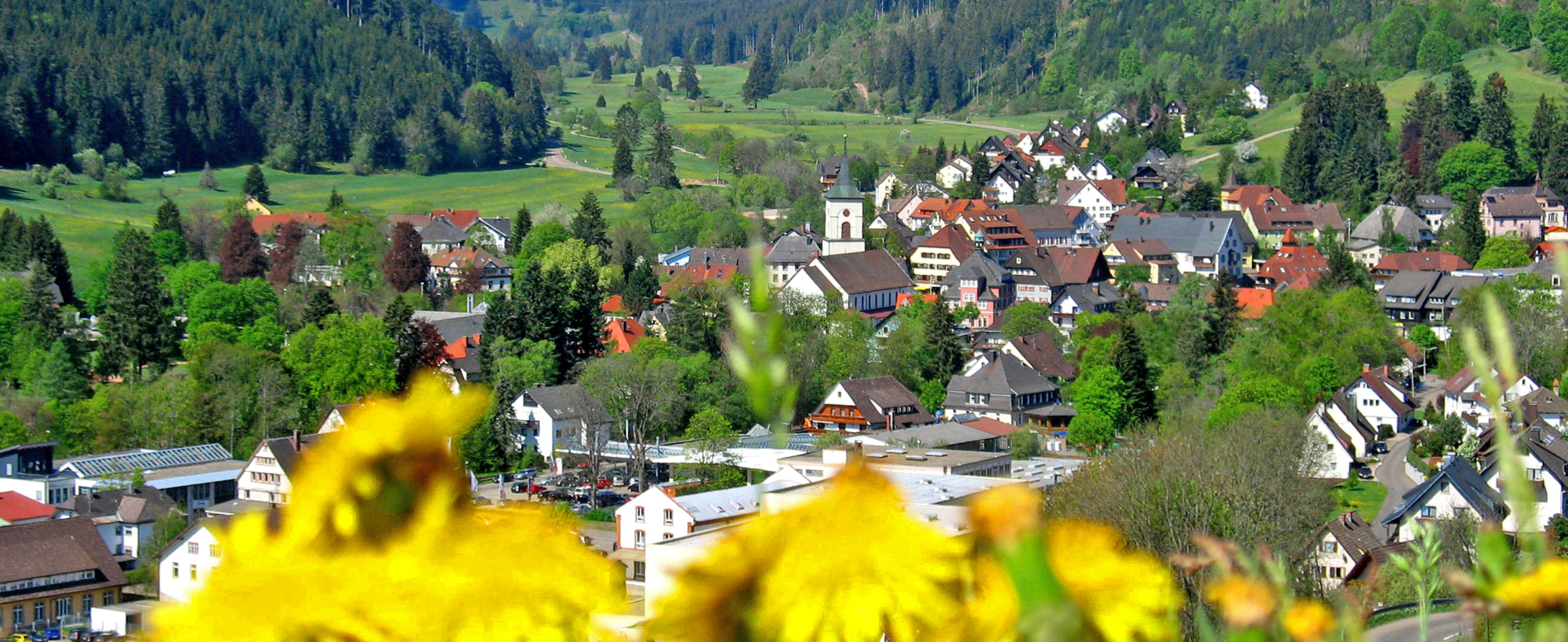 Hintergrundbild der Gemeinde Lenzkirch