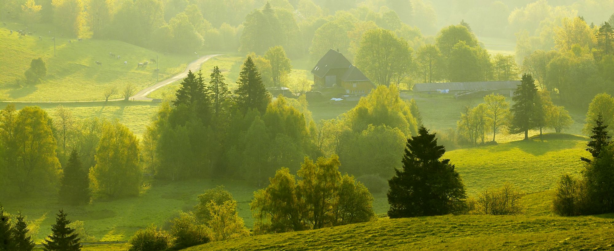 Hintergrundbild der Gemeinde Lenzkirch