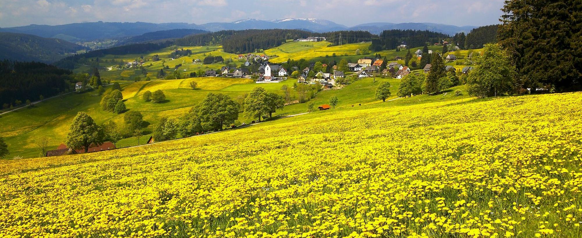 Hintergrundbild der Gemeinde Lenzkirch