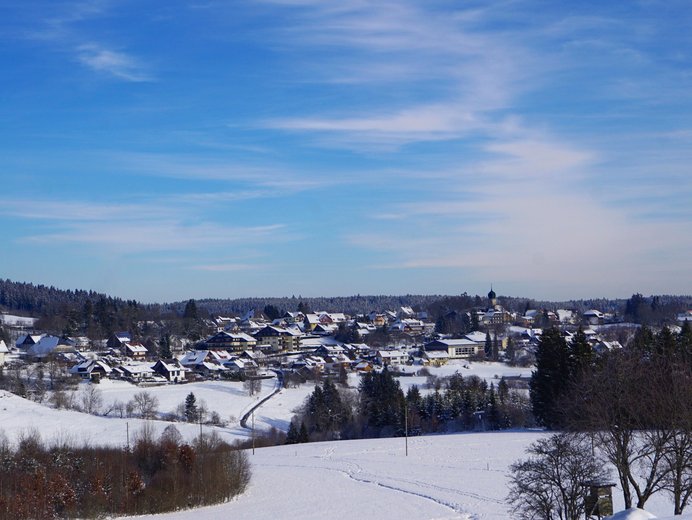 Gemeinde Kappel im Winter