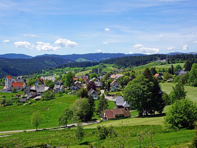 Blick auf die Gemeinde Saig